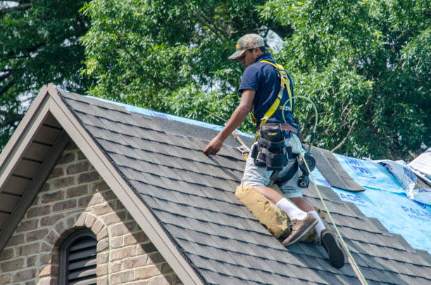 Best New Roof Installation  in Pontoon Beach, IL
